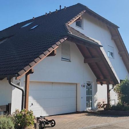 Einliegerwohnung Mit Kueche Bischweier المظهر الخارجي الصورة